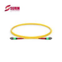 MTP 24 Female - MTP 24 Female OS2 1m  MTP 24 Female - MTP 24 Female OS2 1m