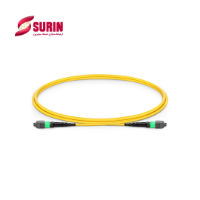 MTP 12 Male - MTP 12 Female OS2 1m 	  MTP 12 Male - MTP 12 Female OS2 1m